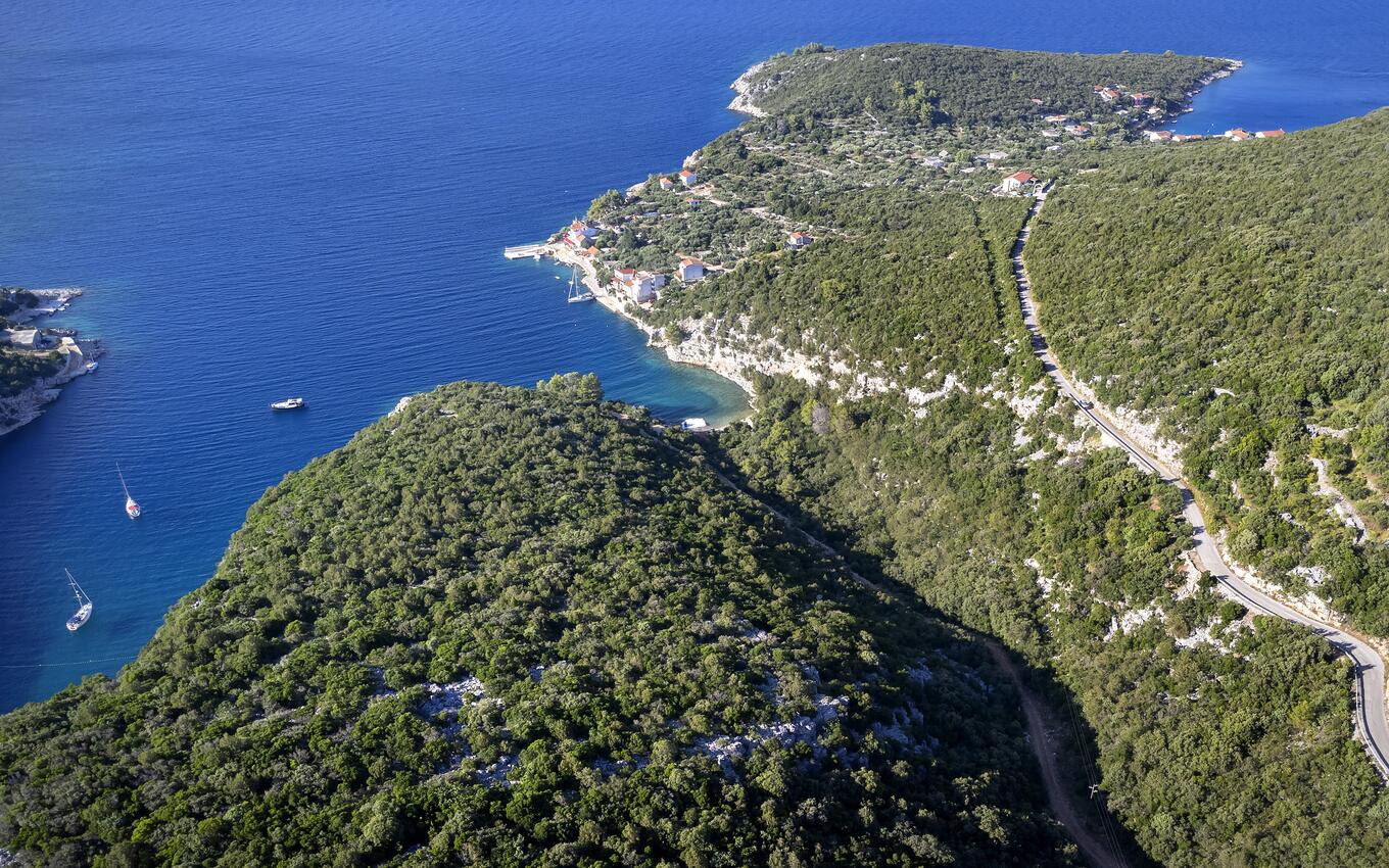 Pokrivenik sur l’île Hvar (Srednja Dalmacija)