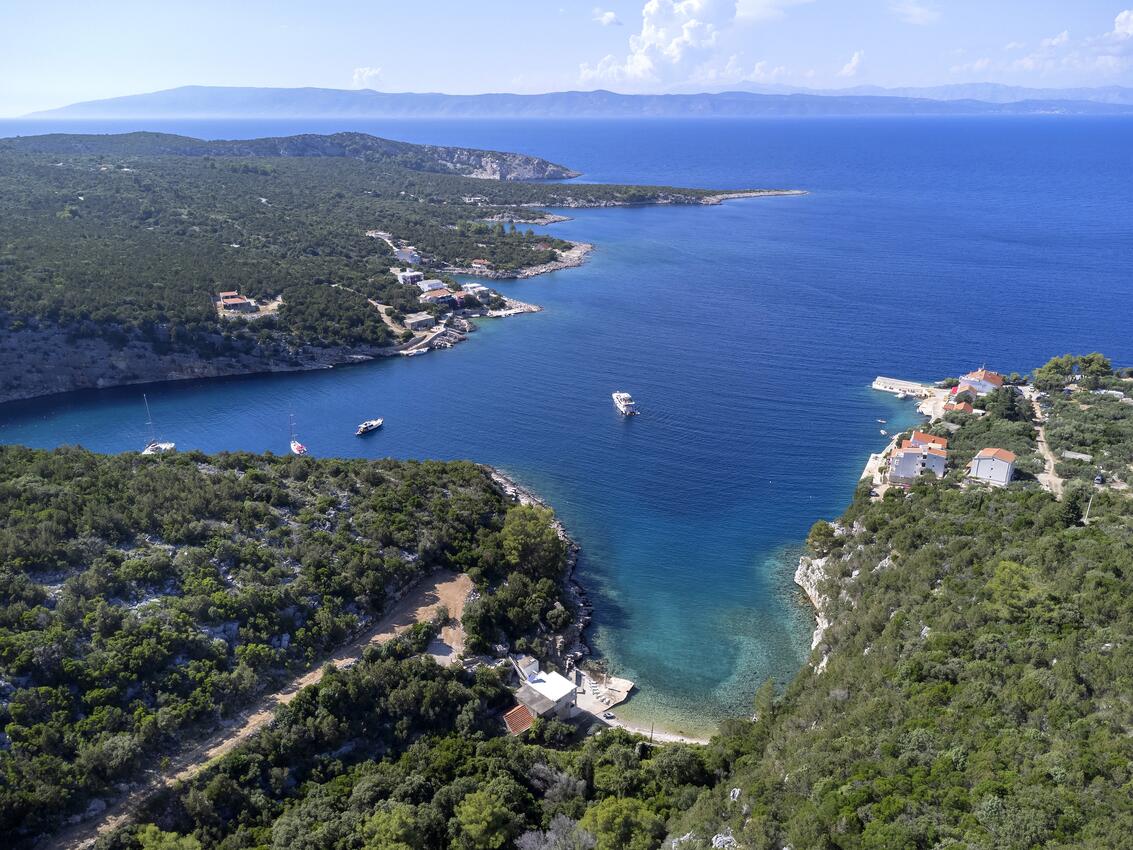 Pokrivenik sur l’île Hvar (Srednja Dalmacija)