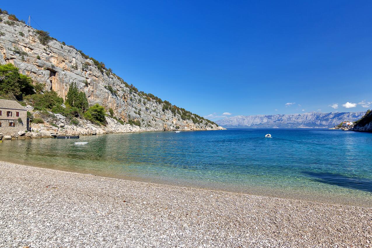 Pokrivenik sur l’île Hvar (Srednja Dalmacija)