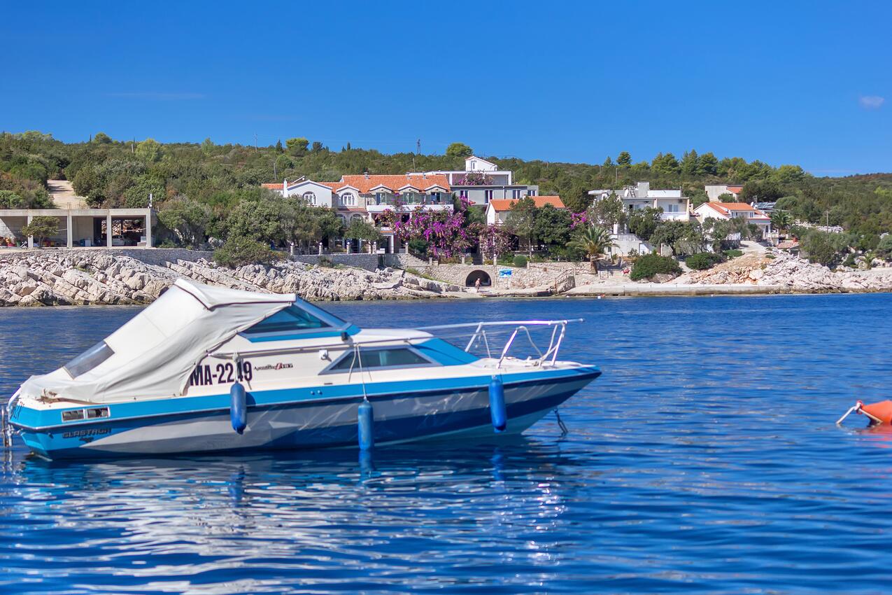 Pokrivenik sur l’île Hvar (Srednja Dalmacija)