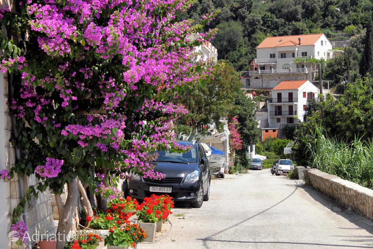 Štikovica an der Riviera Dubrovnik (Južna Dalmacija)