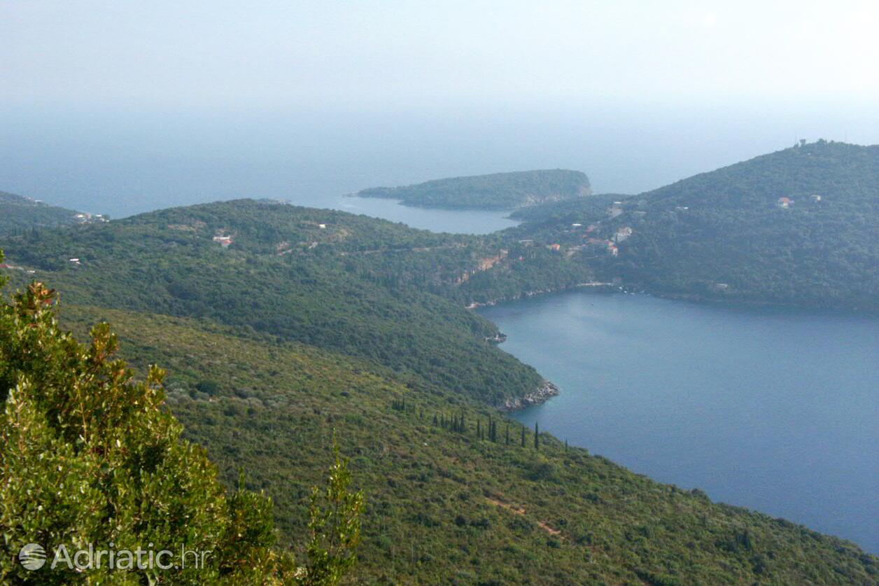 Molunat na riwierze Dubrovnik (Južna Dalmacija)