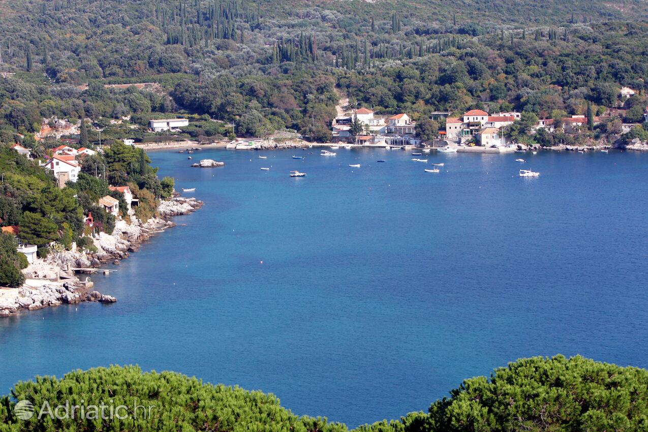 Molunat na riwierze Dubrovnik (Južna Dalmacija)
