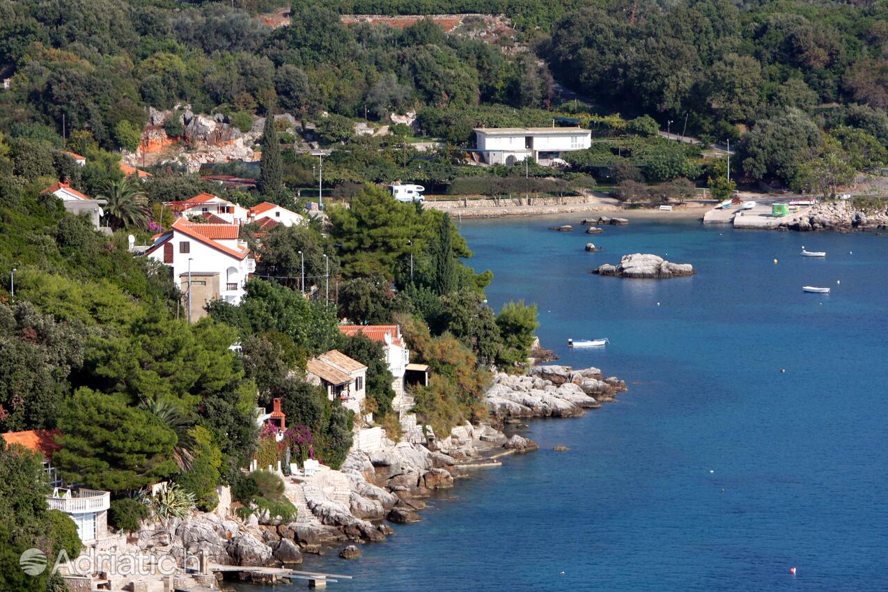 Molunat na riwierze Dubrovnik (Južna Dalmacija)