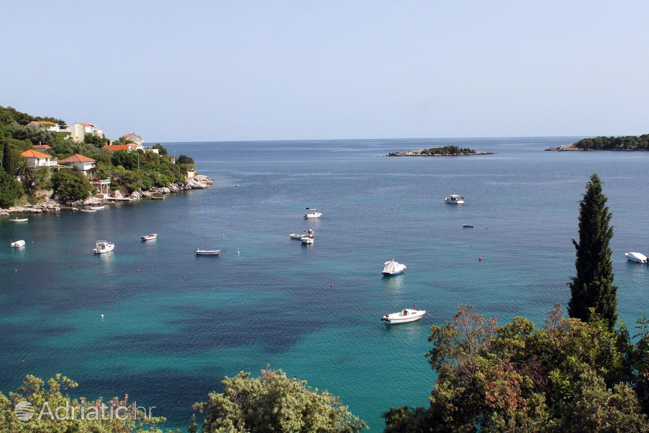 Molunat na riwierze Dubrovnik (Južna Dalmacija)