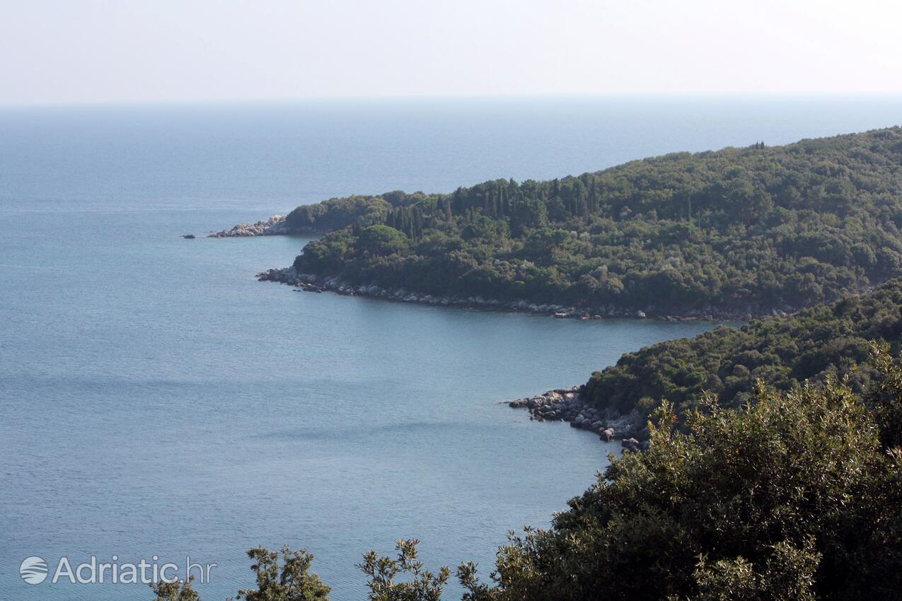 Molunat na riwierze Dubrovnik (Južna Dalmacija)