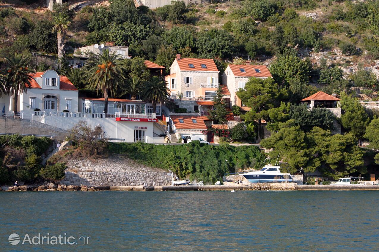 Lozica sulla riviera Dubrovnik (Južna Dalmacija)