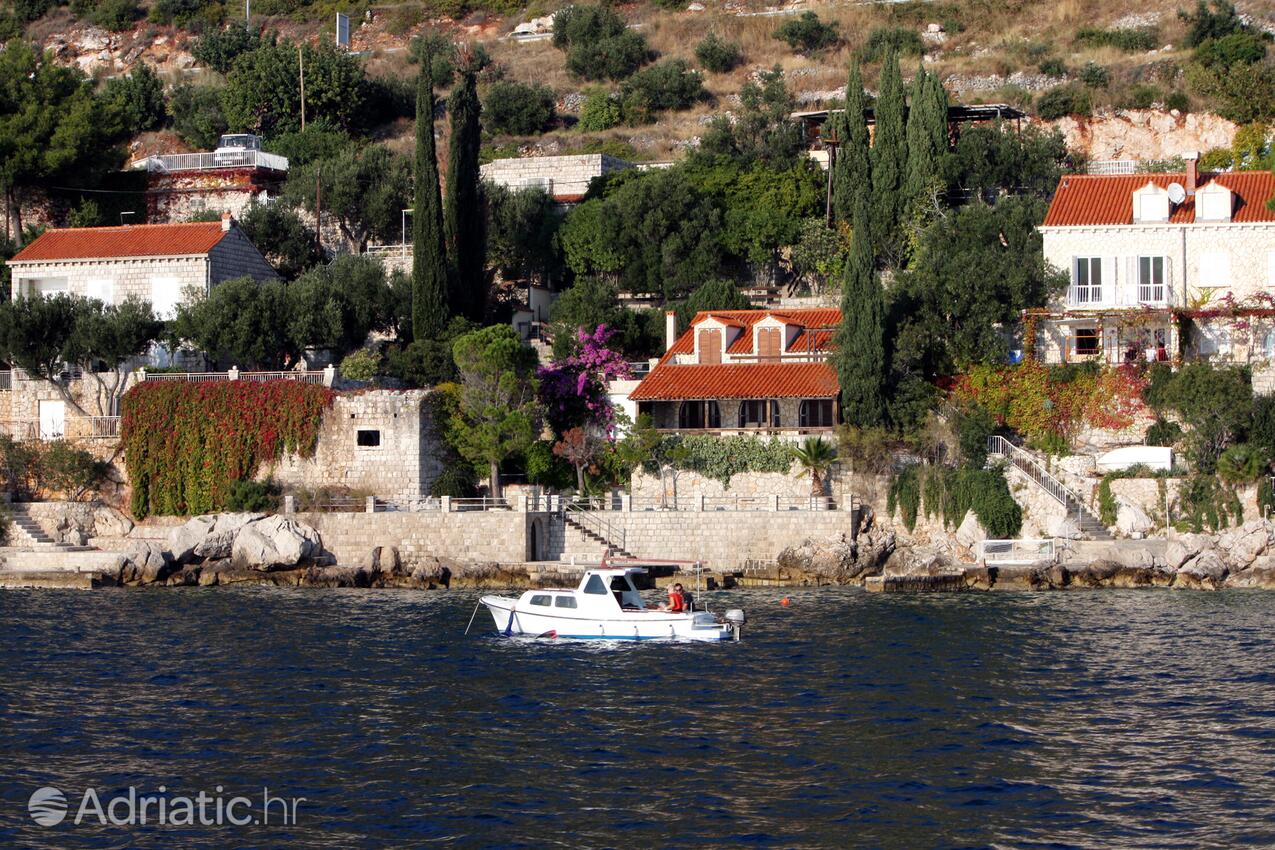 Lozica sulla riviera Dubrovnik (Južna Dalmacija)