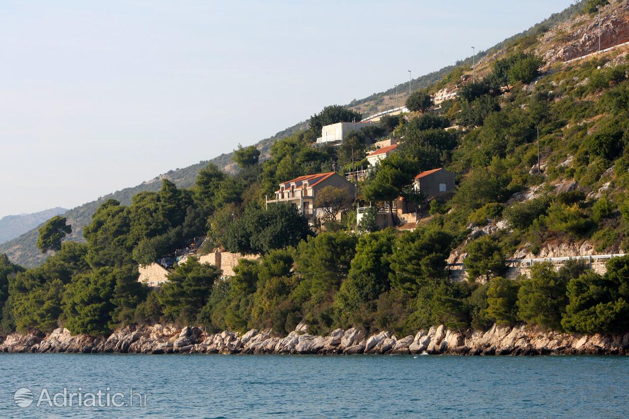 Lozica u rivijeri Dubrovnik (Južna Dalmacija)