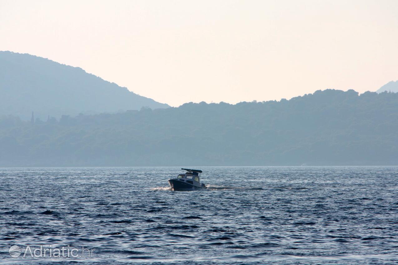 Lozica in Riviera Dubrovnik (Južna Dalmacija)