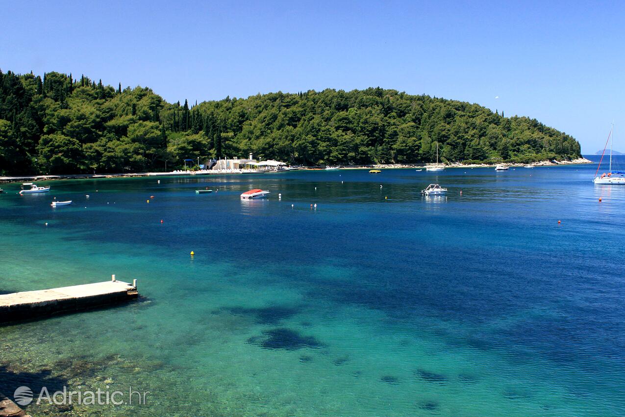 Cavtat i Riviera Dubrovnik (Južna Dalmacija)