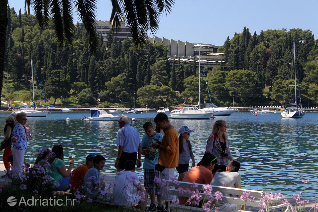 Cavtat i Riviera Dubrovnik (Južna Dalmacija)