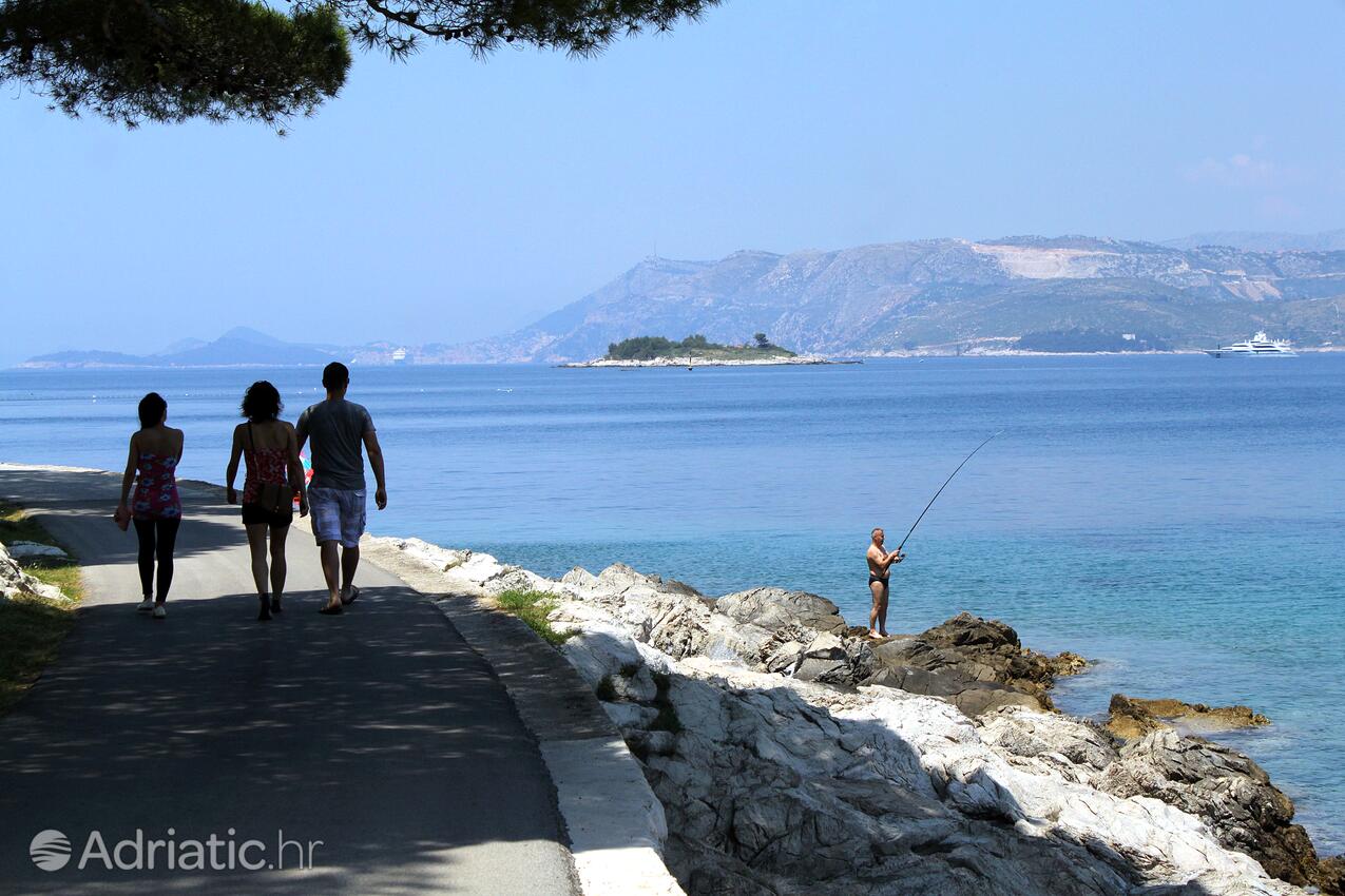 Cavtat u rivijeri Dubrovnik (Južna Dalmacija)