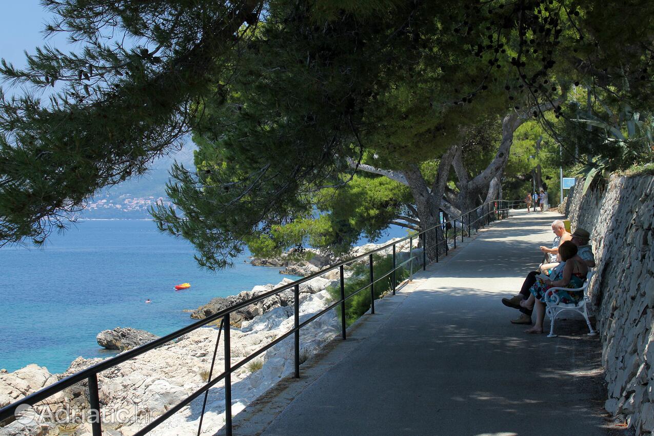 Cavtat u rivijeri Dubrovnik (Južna Dalmacija)