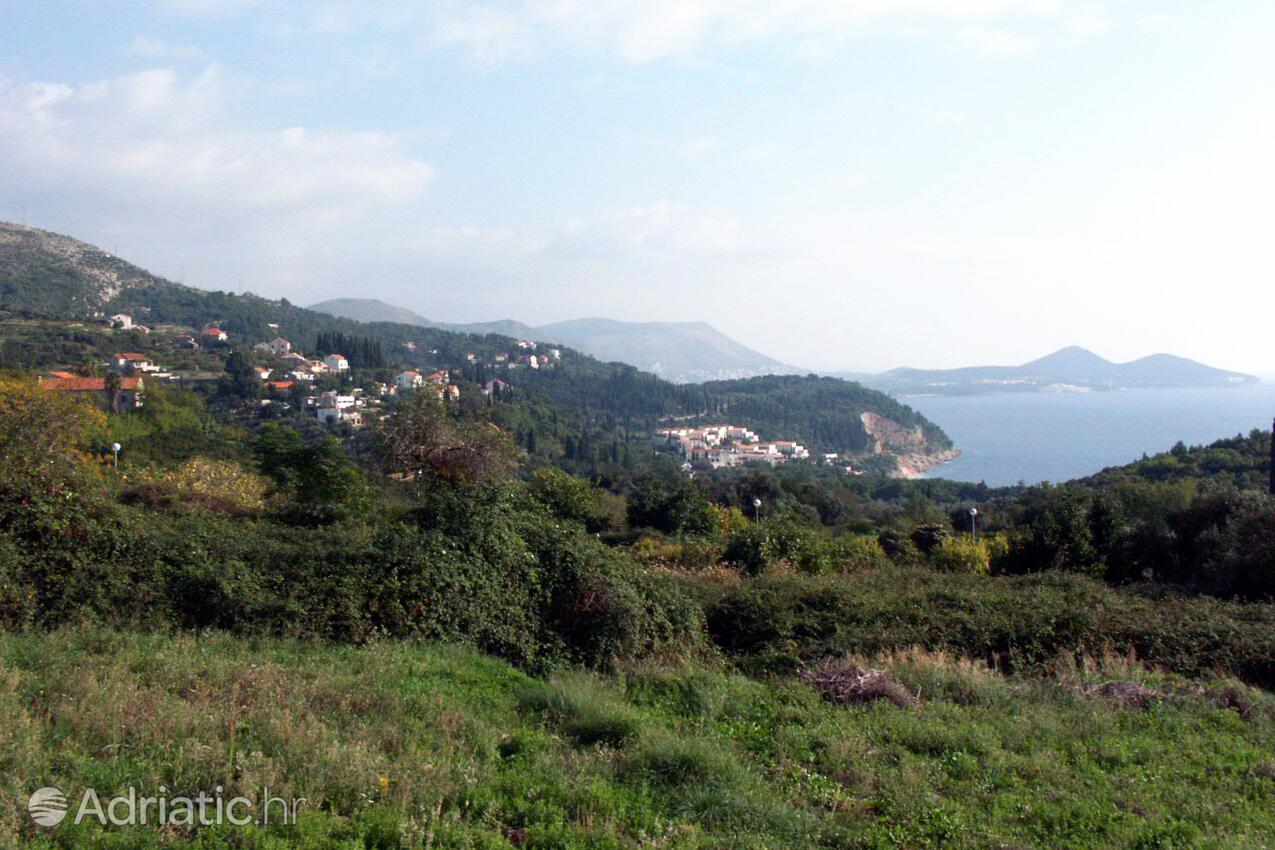 Orašac in Riviera Dubrovnik (Južna Dalmacija)