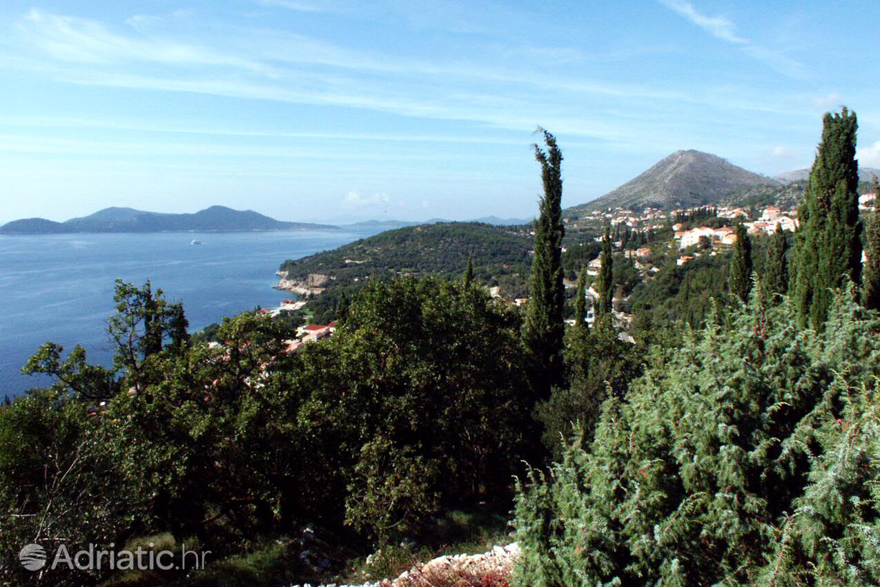 Orašac in Riviera Dubrovnik (Južna Dalmacija)