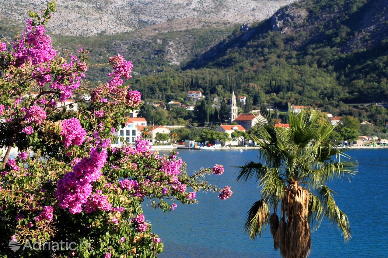 Slano en la riviera Dubrovnik (Južna Dalmacija)
