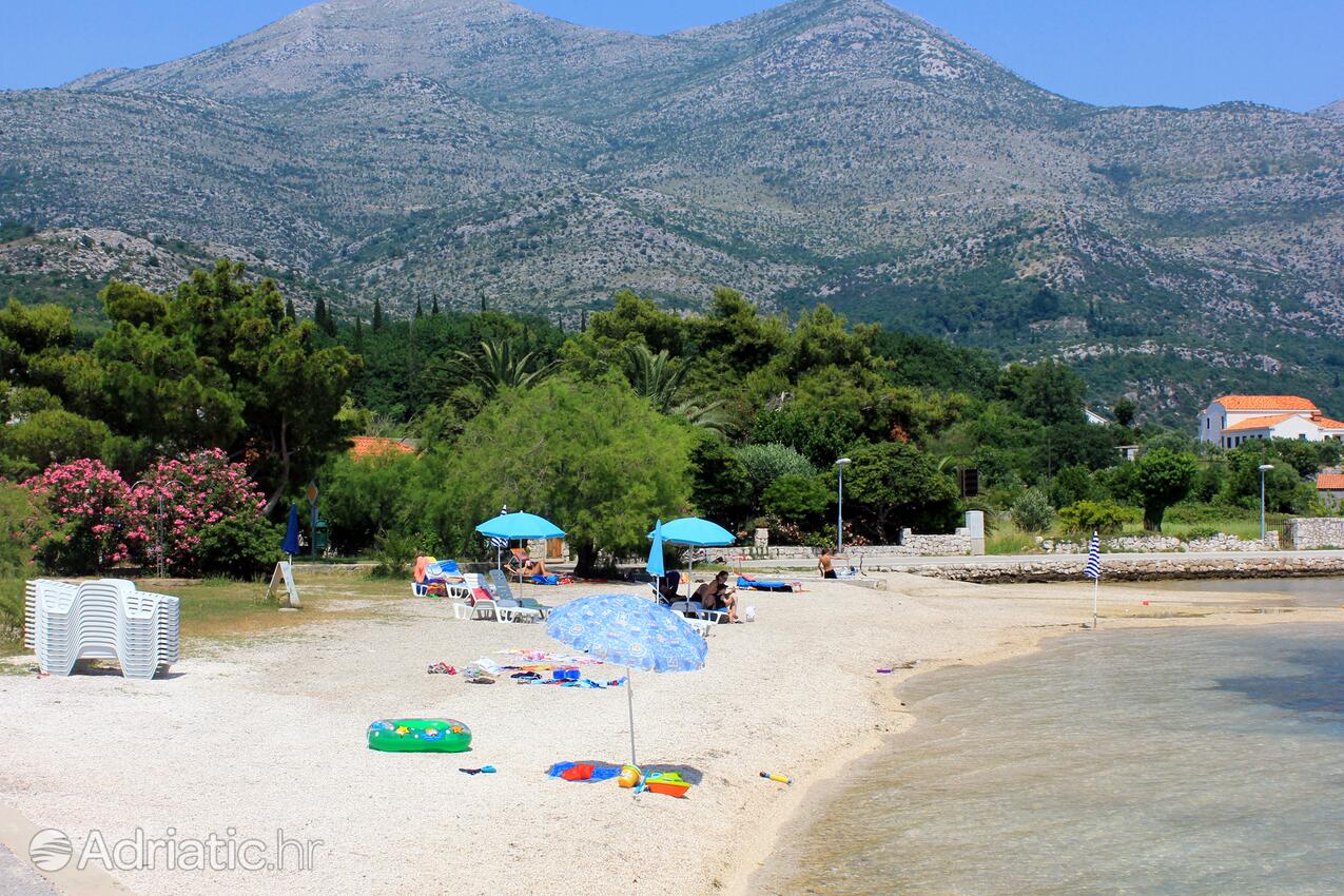 Slano en la riviera Dubrovnik (Južna Dalmacija)