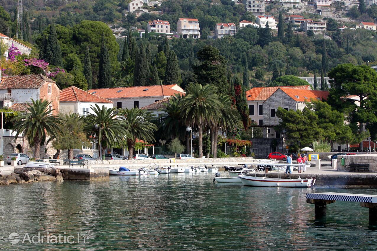 Mlini an der Riviera Dubrovnik (Južna Dalmacija)