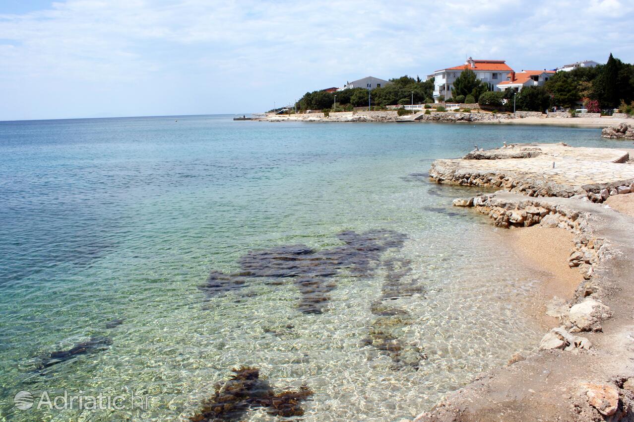 Spiagge nelle vicinanze - Appartamenti con parcheggio Mandre, Pago - Pag
