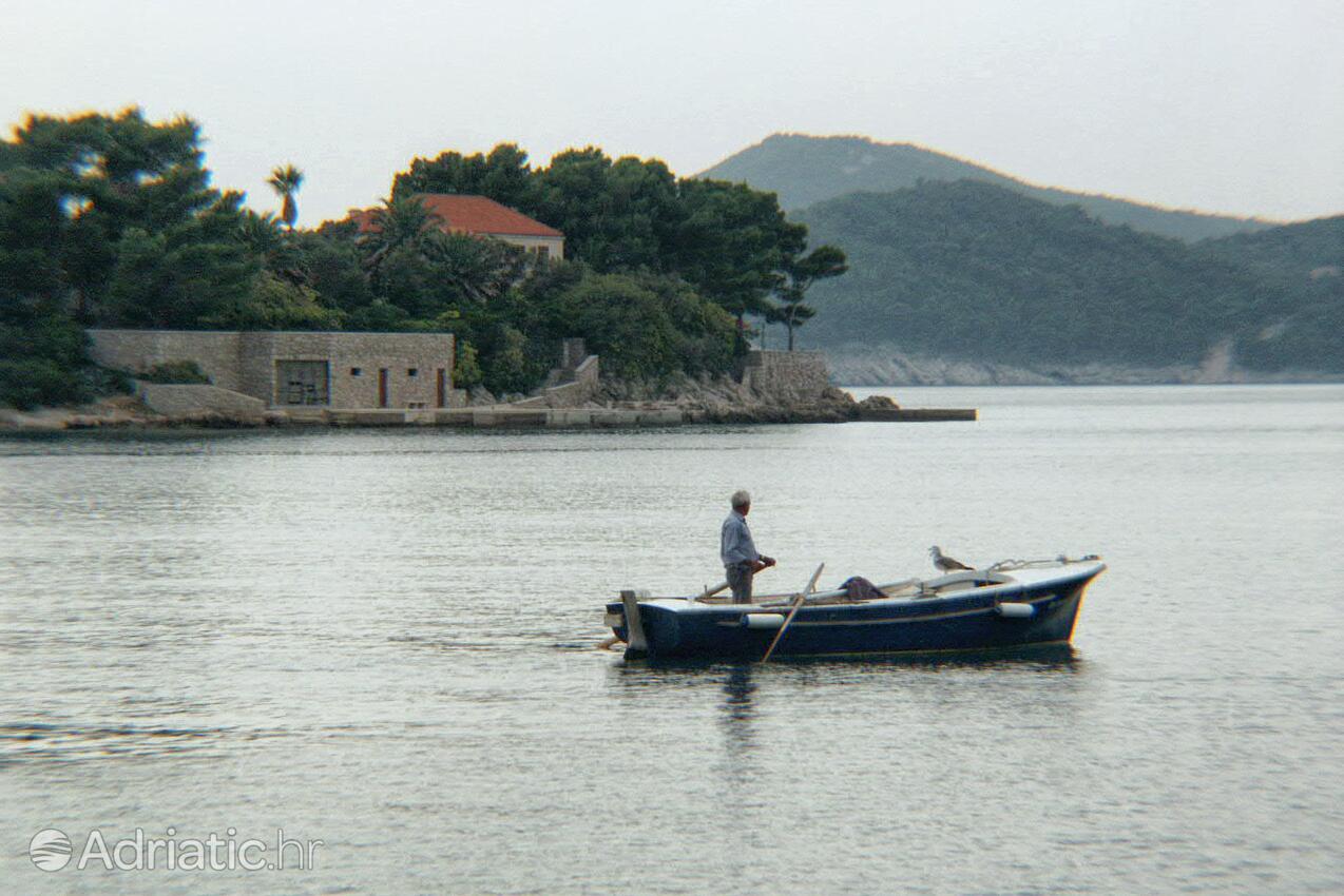 Koločep na otoku Elafiti (Južna Dalmacija)