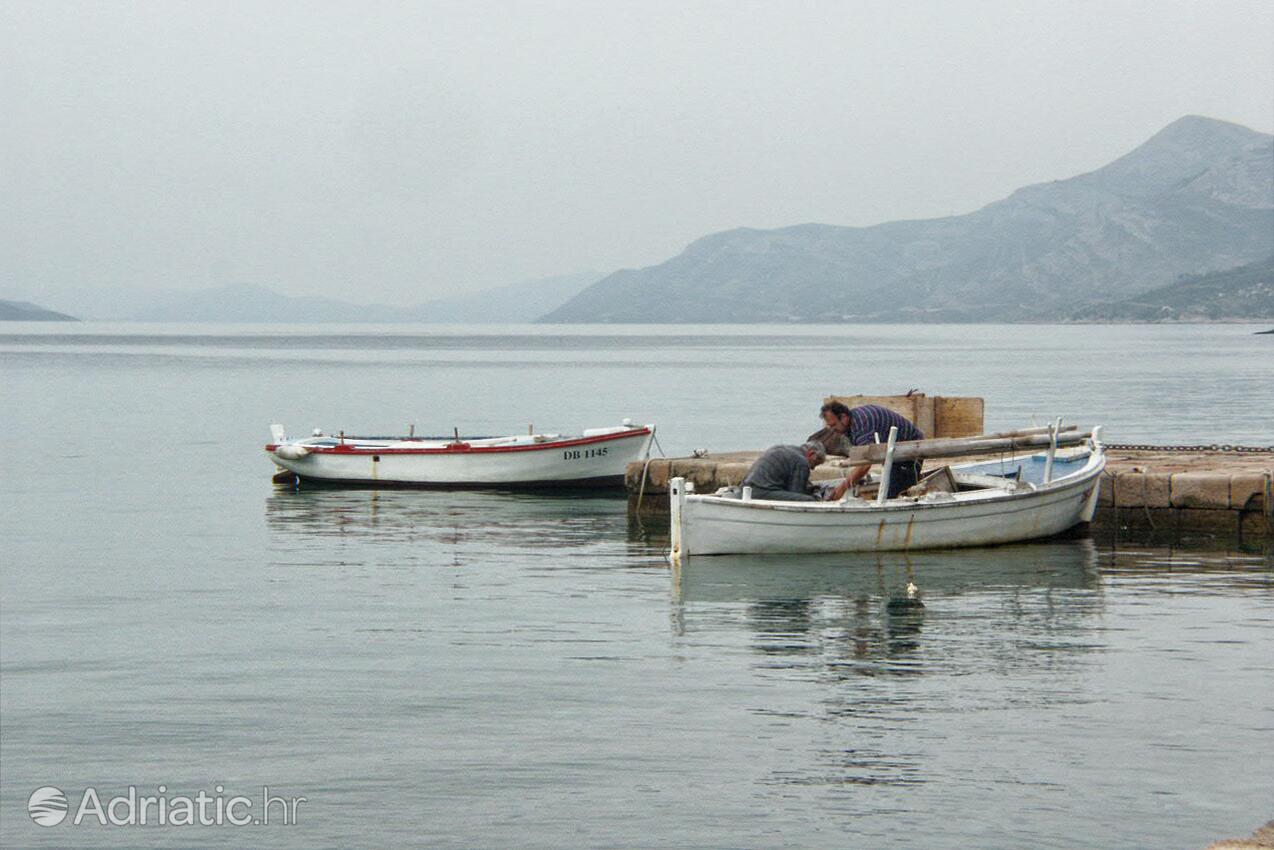 Koločep na otoku Elafiti (Južna Dalmacija)