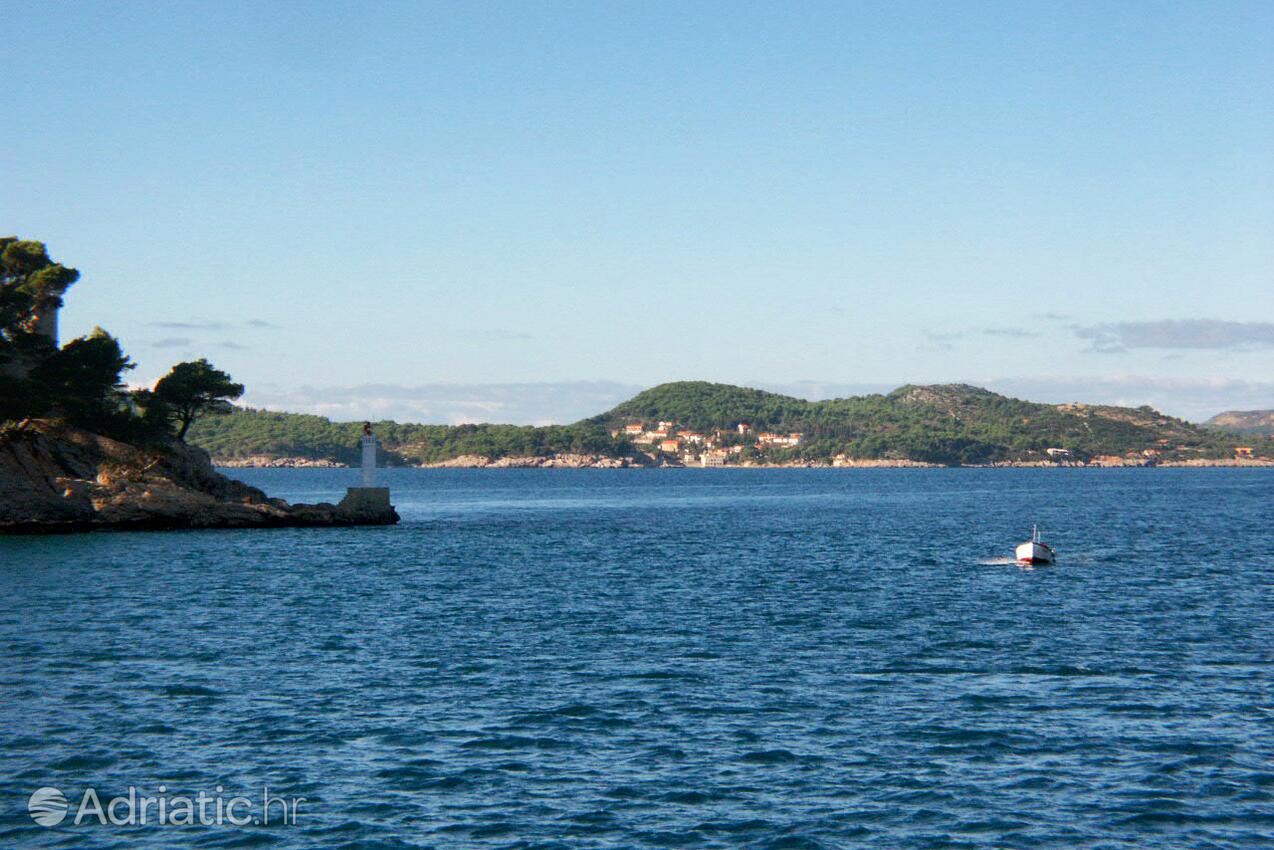 Koločep na otoku Elafiti (Južna Dalmacija)