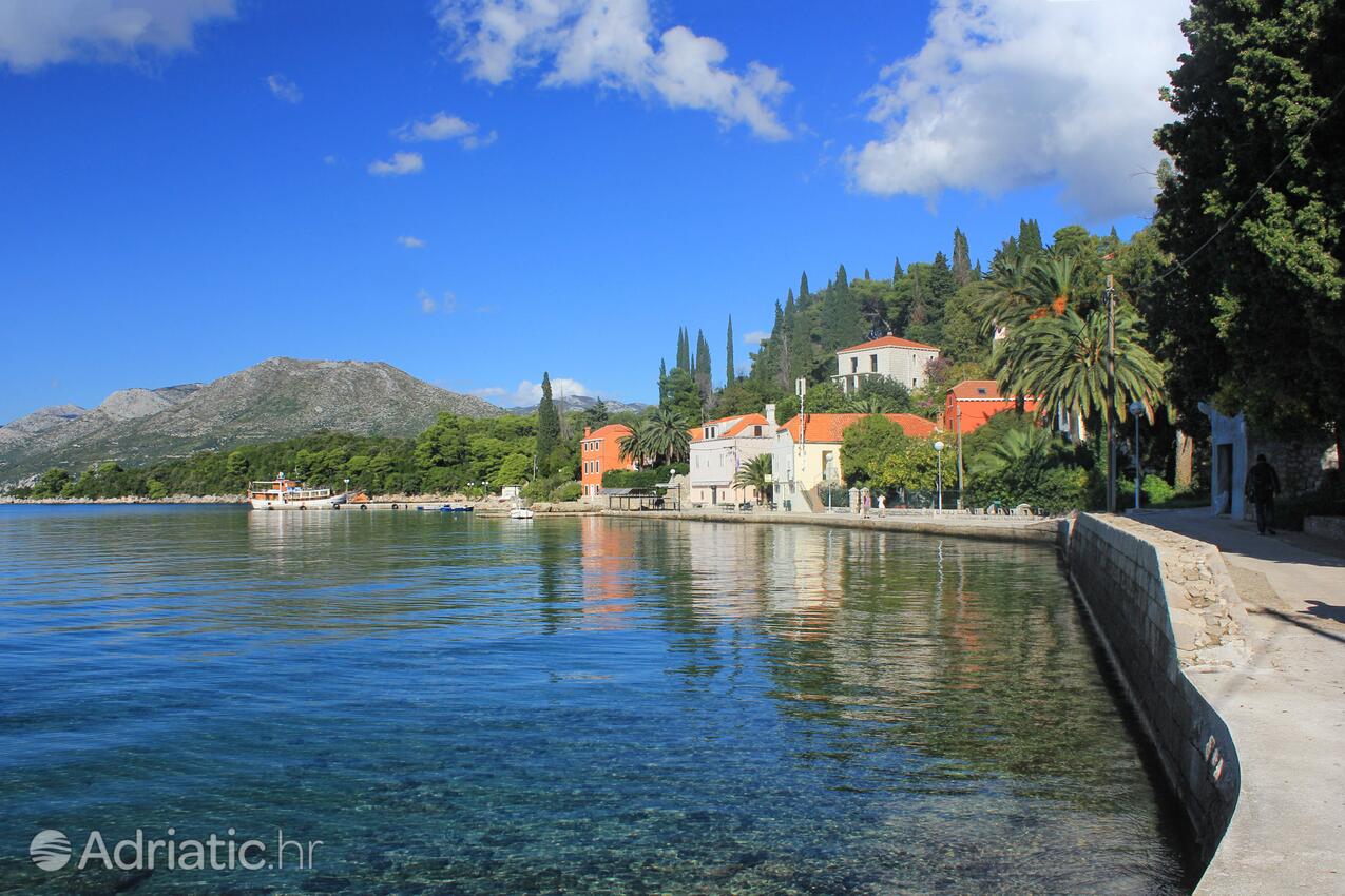 Koločep na otoku Elafiti (Južna Dalmacija)