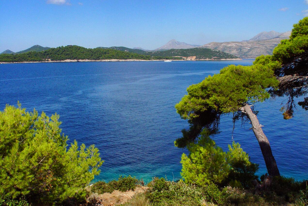 Lopud auf der Insel  Elafiti (Južna Dalmacija)