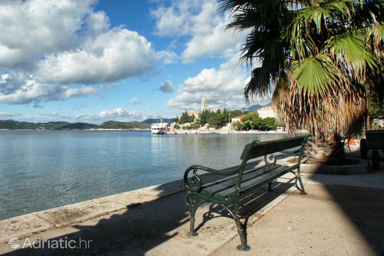 Lopud on the island Elafiti (Južna Dalmacija)