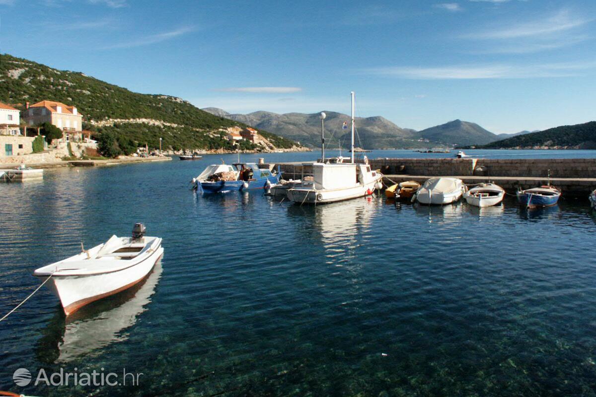 Suđurađ na ostrove Elafiti (Južna Dalmacija)