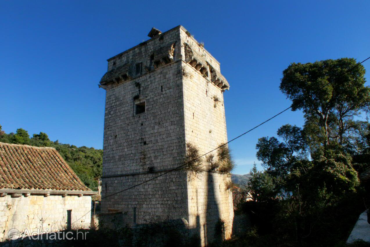 Suđurađ na ostrove Elafiti (Južna Dalmacija)