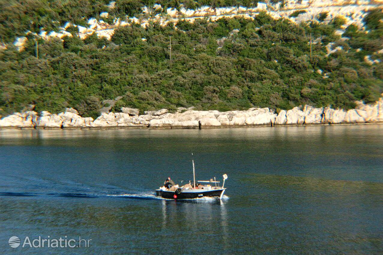 Suđurađ na ostrove Elafiti (Južna Dalmacija)