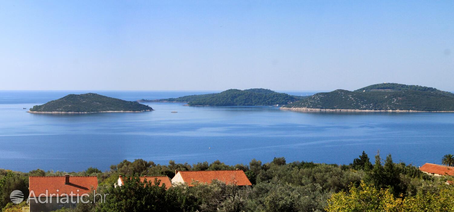 Suđurađ Elafiti szigeten (Južna Dalmacija)