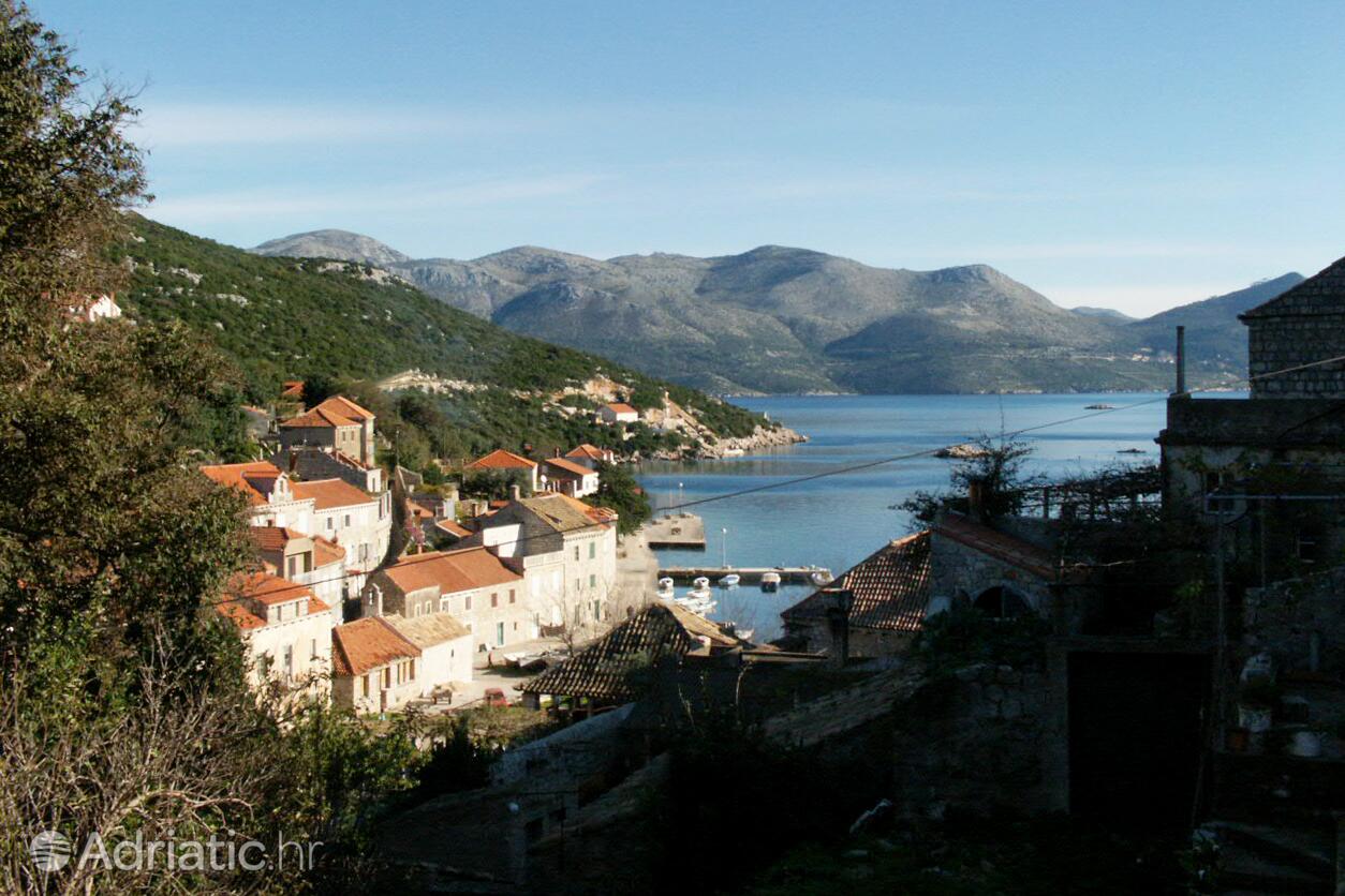 Suđurađ Elafiti szigeten (Južna Dalmacija)