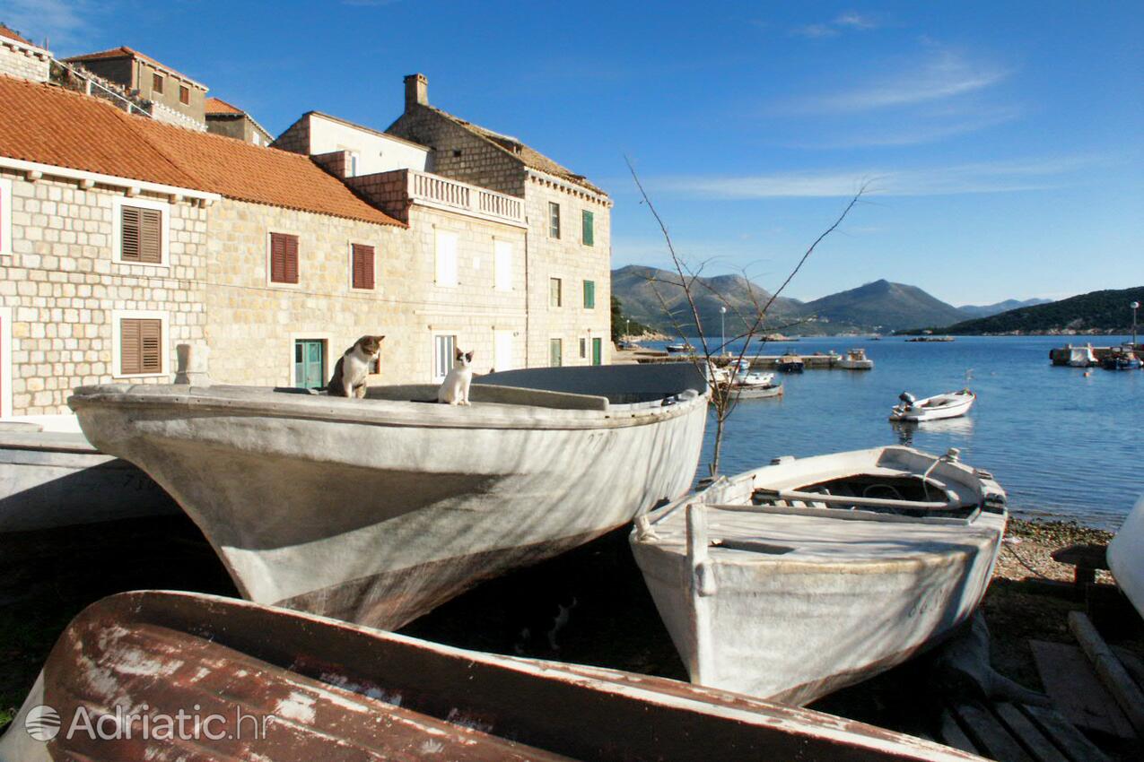 Suđurađ Elafiti szigeten (Južna Dalmacija)