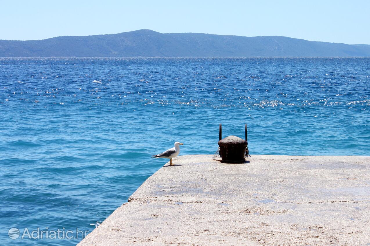 Drašnice pe riviera Makarska (Srednja Dalmacija)