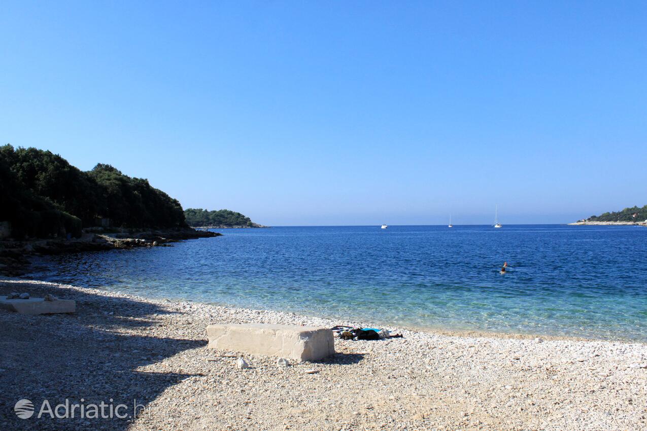Nearby beaches - Apartments with a parking space Pješčana Uvala, Pula