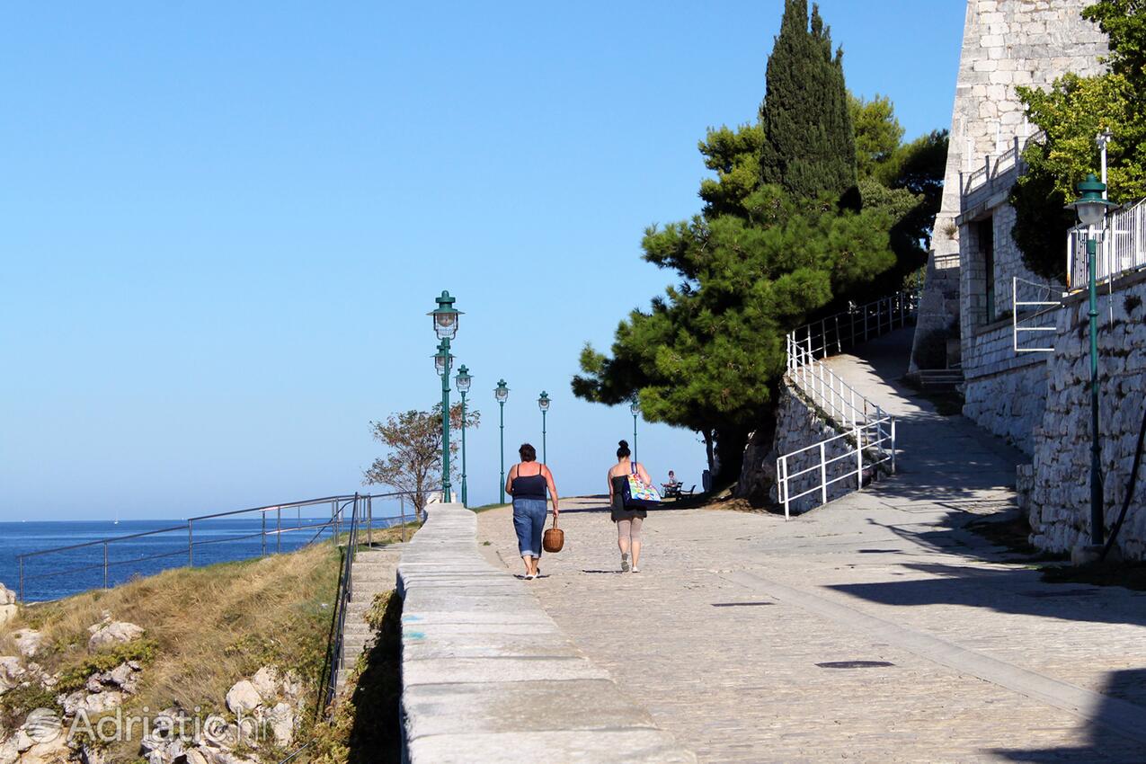 Rovinj на Ривьере Rovinj (Istra)