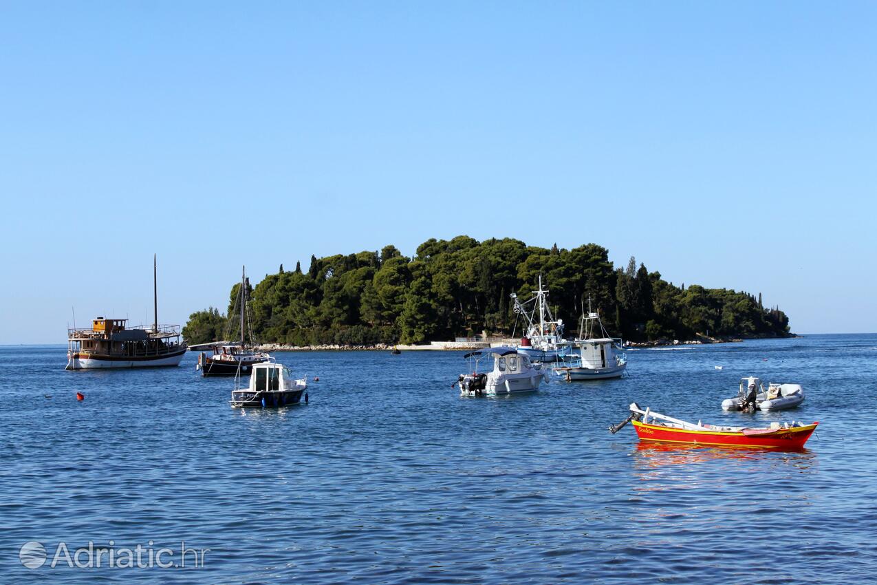 Rovinj на Ривьере Rovinj (Istra)