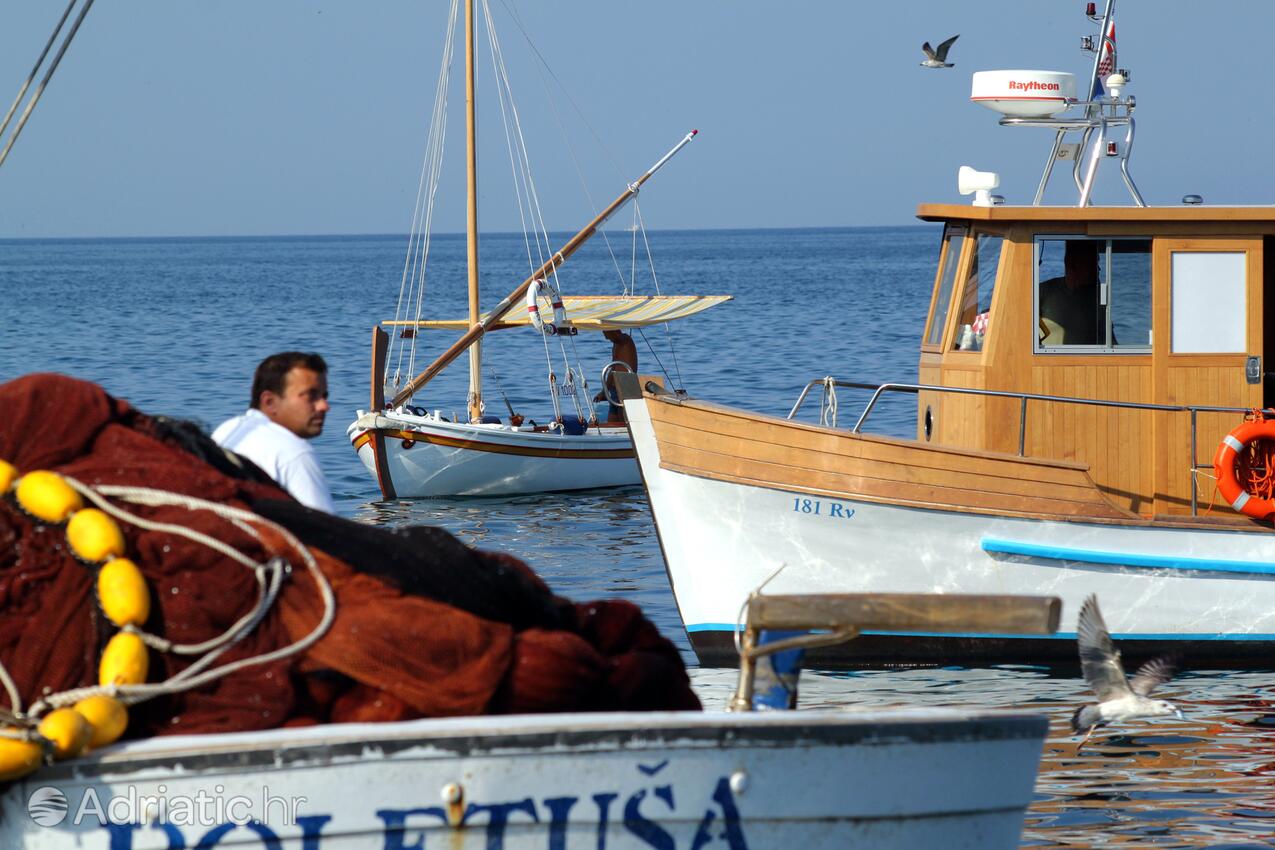 Rovinj на Ривьере Rovinj (Istra)