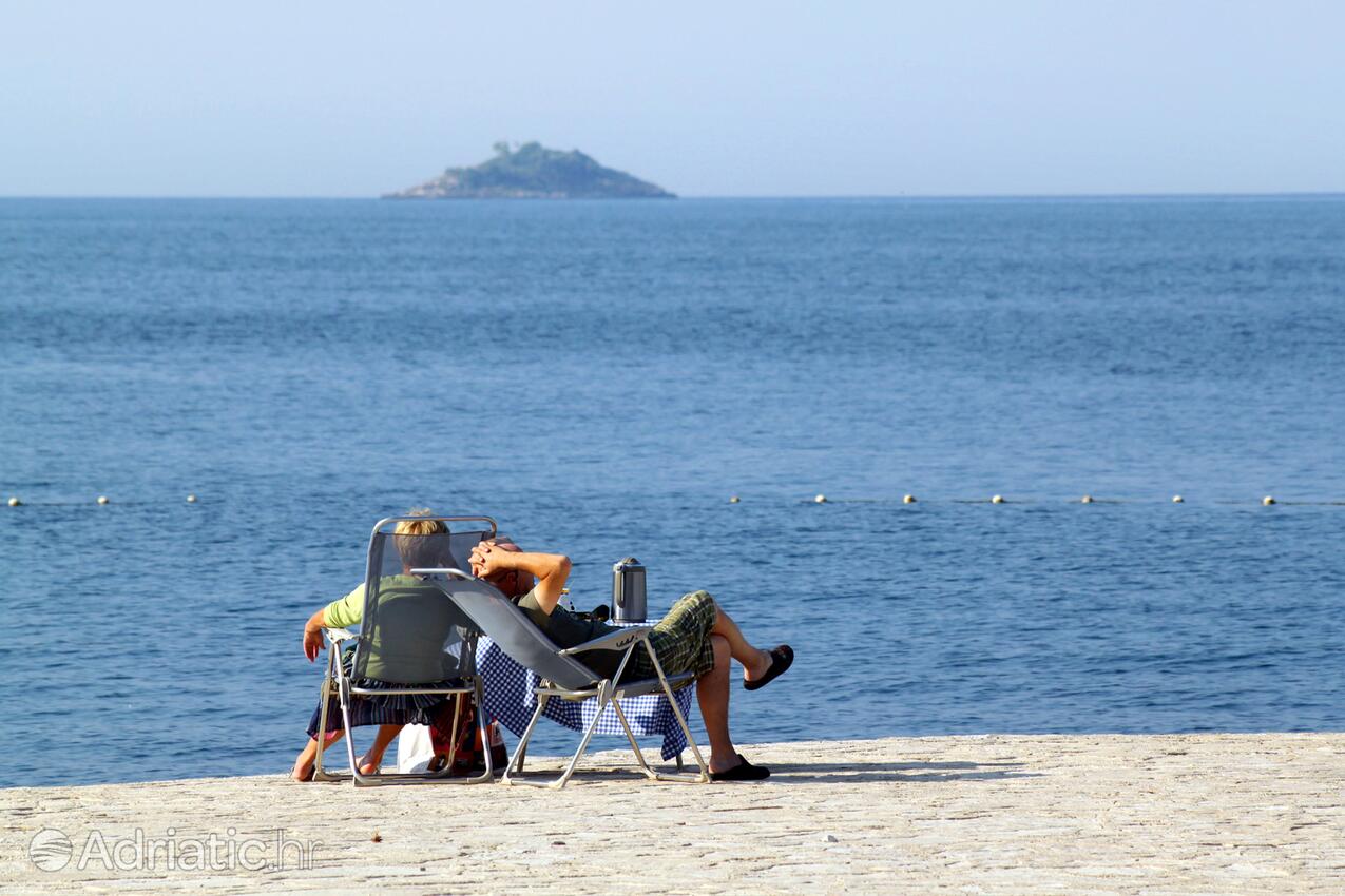 Rovinj на Ривьере Rovinj (Istra)