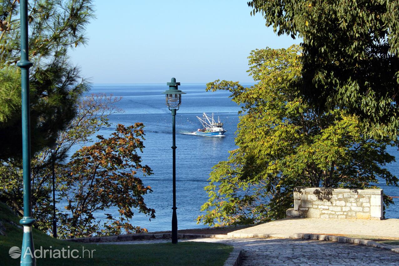 Rovinj на Ривьере Rovinj (Istra)