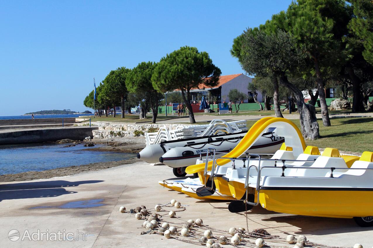 Nearby beaches - Apartments with WiFi Rovinj