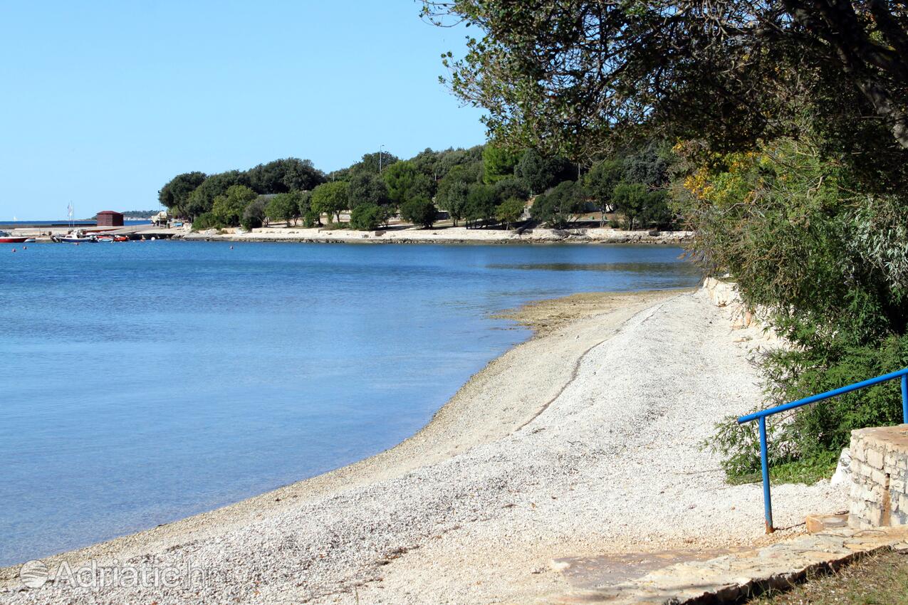 Nearby beaches - Apartments with WiFi Rovinj