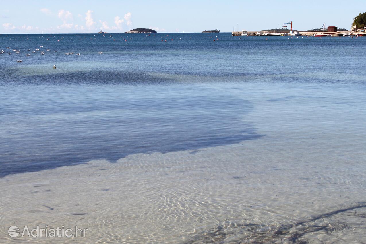 Nearby beaches - Apartments with WiFi Rovinj