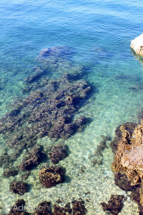 Nearby beaches - Apartments with WiFi Rovinj