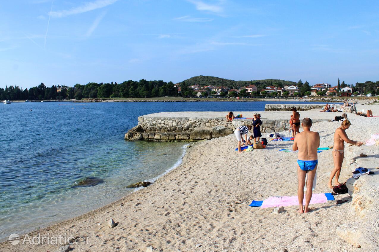 Nearby beaches - Apartments with WiFi Rovinj