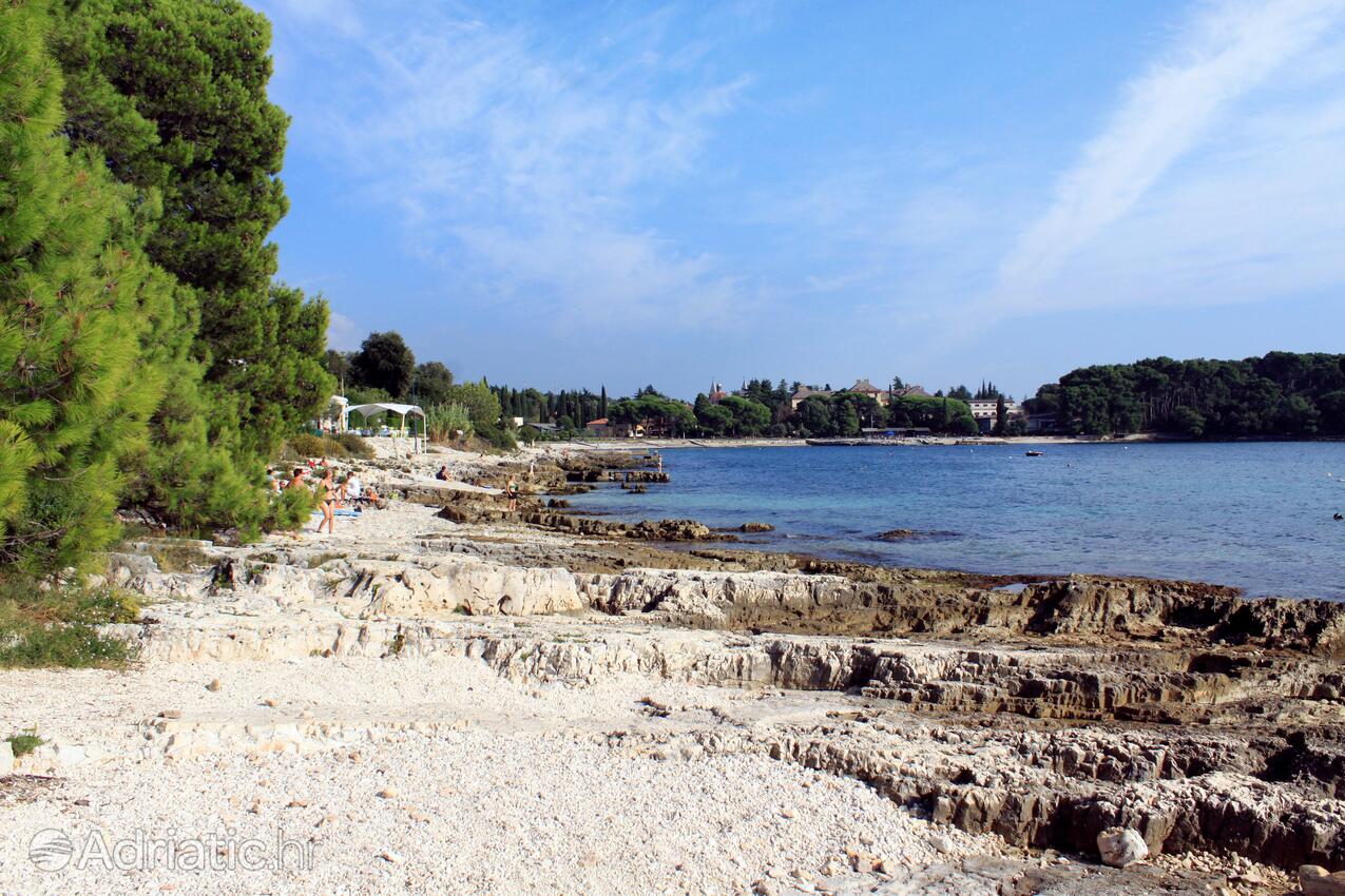 Nearby beaches - Apartments with WiFi Rovinj