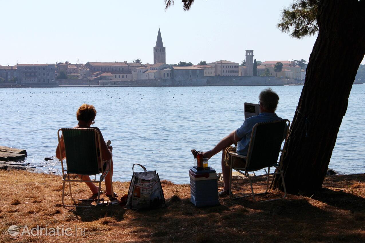 Poreč in riviera Poreč (Istra)